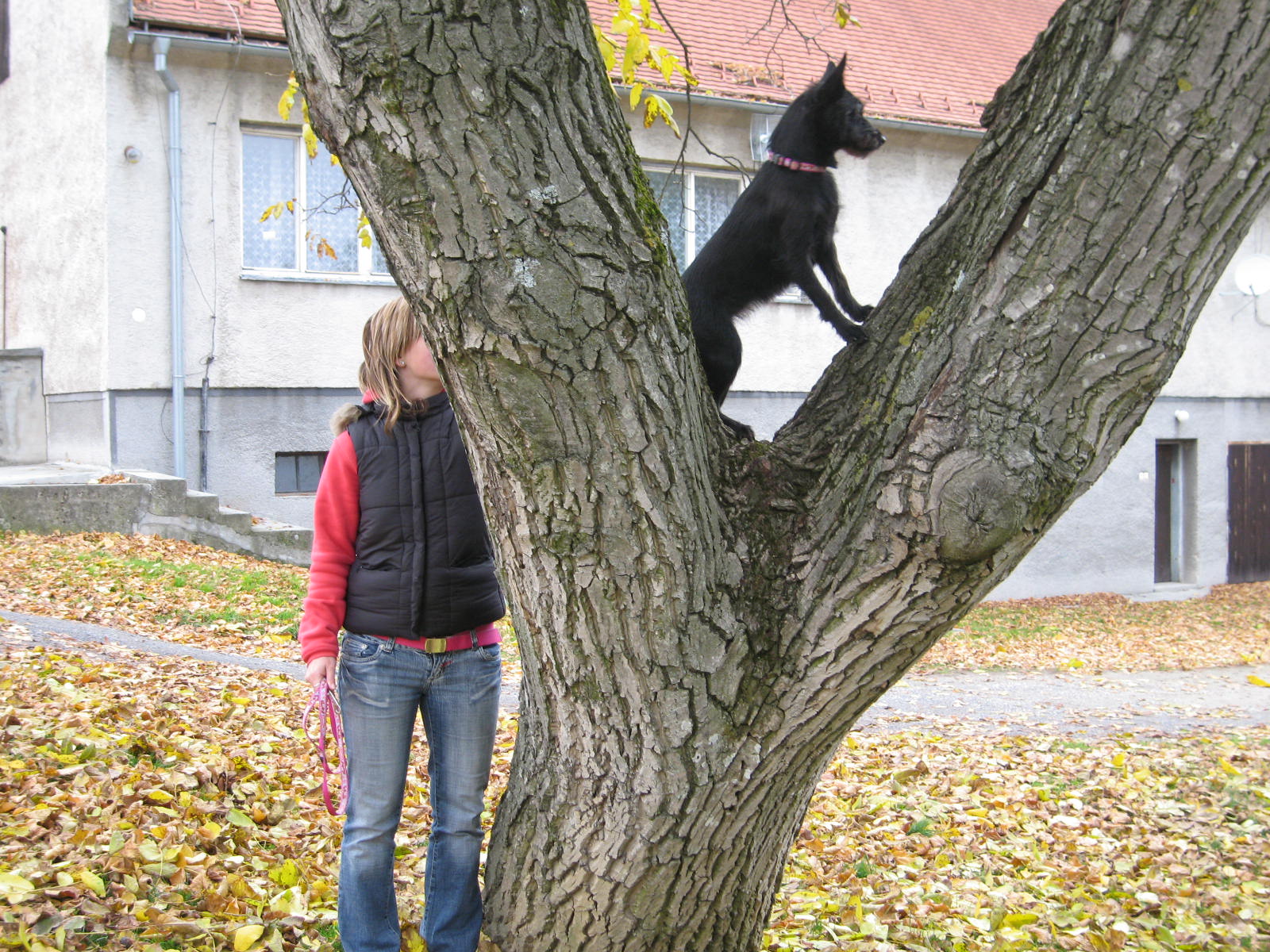 Červený kameň 040.jpg