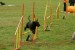 DSC07189.JPG
